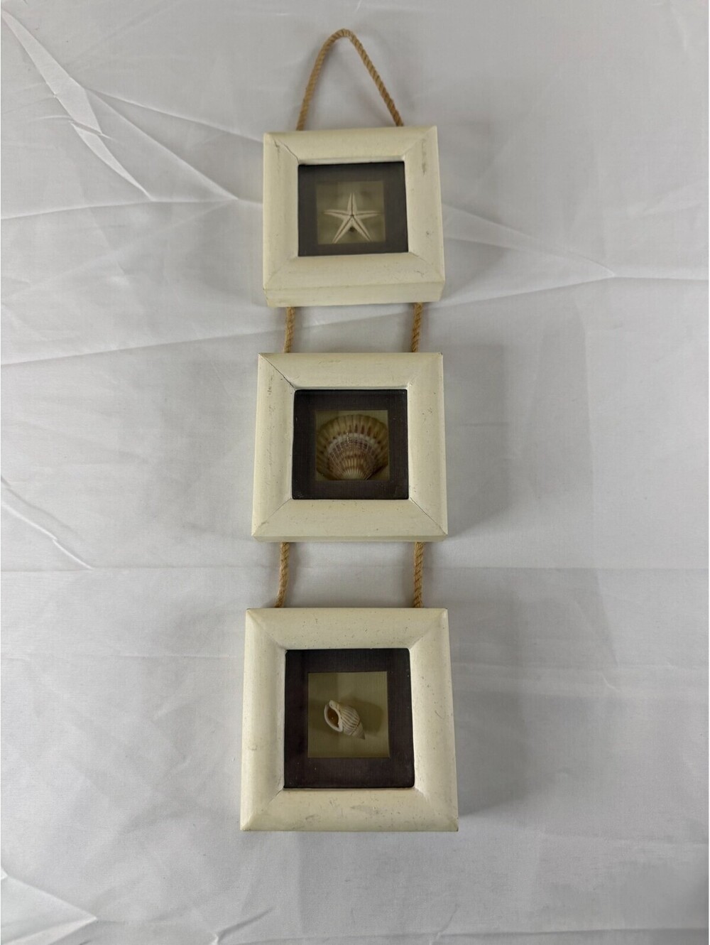 Coastal Seashell Shadow Box Wall Hanging 3 Framed Shells Rope Starfish [COPY]